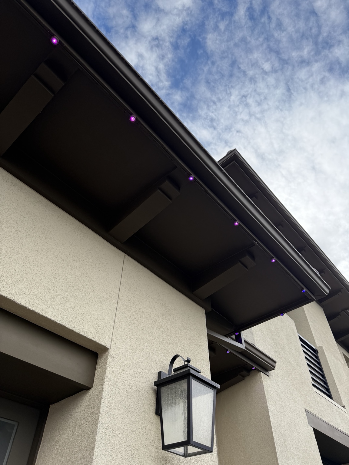 Govee fixtures mounted on a dark bronze color-matched fascia board in daylight